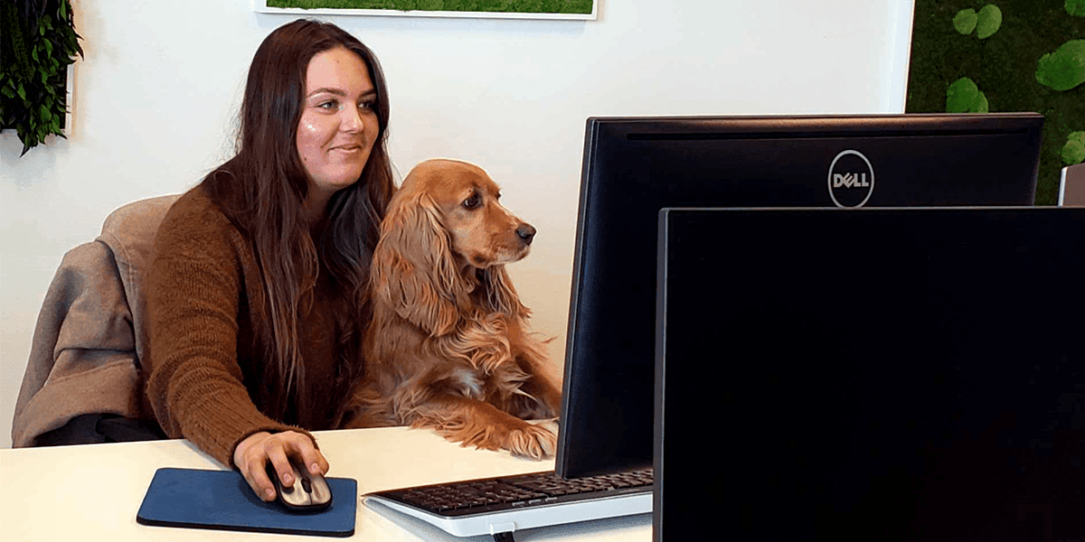 3x waarom we blij zijn met kantoorhond Pip