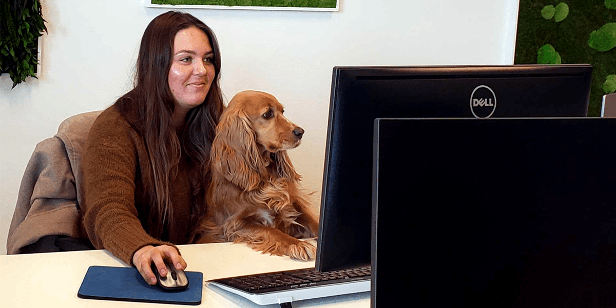 3x waarom we blij zijn met kantoorhond Pip
